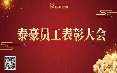 泰豪表彰 | 一路同行，“云”享慶典~